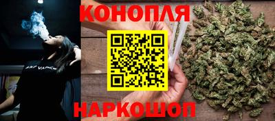 сатива Жуковский